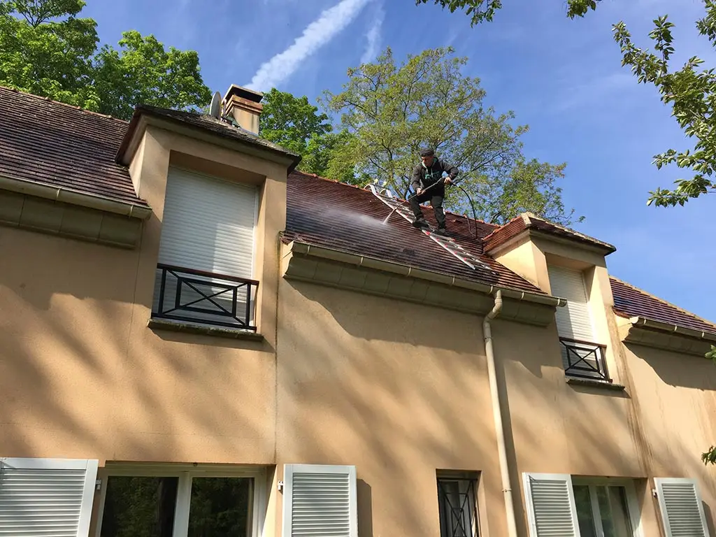 Nettoyage, démoussage et traitement hydrofuge de toiture